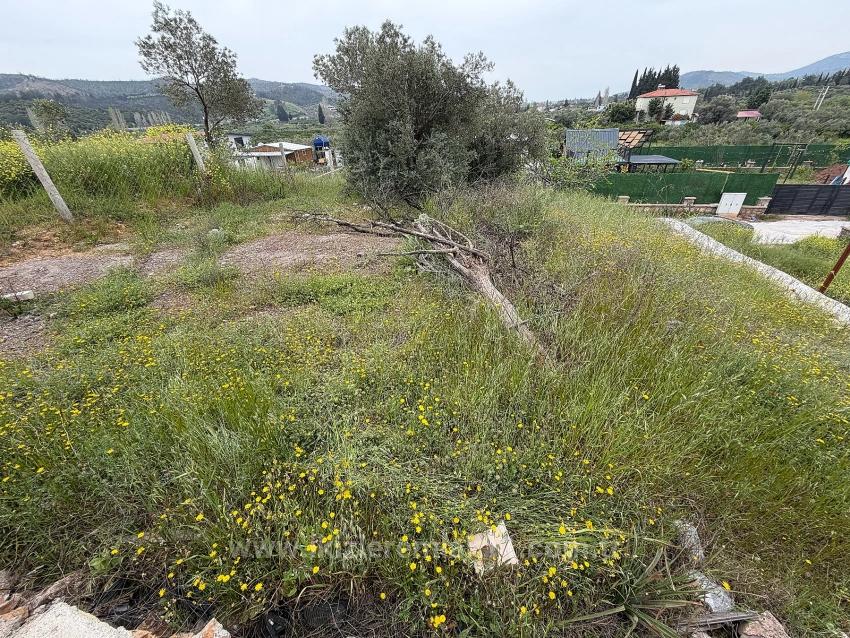 300 M2 Großes Grundstück Zum Verkauf In Seferihisar Doğanbey Kavakdere.