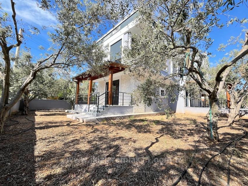 Brandneue, Freistehende 3+1-Zimmer-Villa Mit Großem Garten In Seferihisar Doğanbey Zu Verkaufen