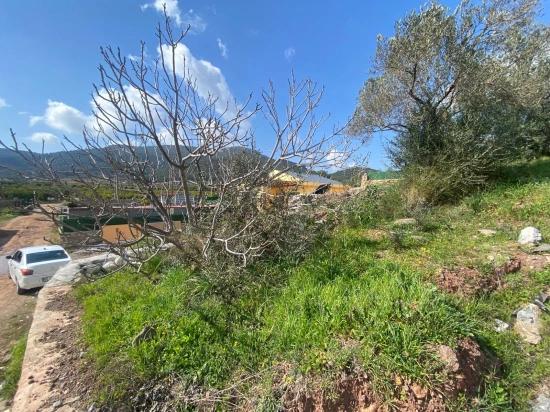 In Seferihisar Doğanbey Kavakdere Zu Verkaufen 300 M2 Kupon Grundstück