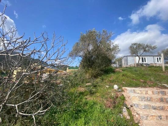 In Seferihisar Doğanbey Kavakdere Zu Verkaufen 300 M2 Kupon Grundstück