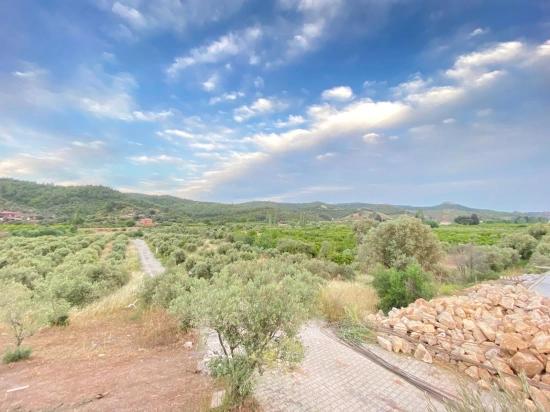 Seferihisar Doğanbey In Kavakdere For Sale 300 M2 Coupon Land