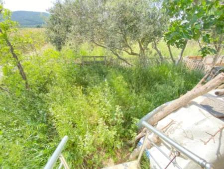 3 1 Summer House For Sale With Large Garden In Doganbey, Seferihisar