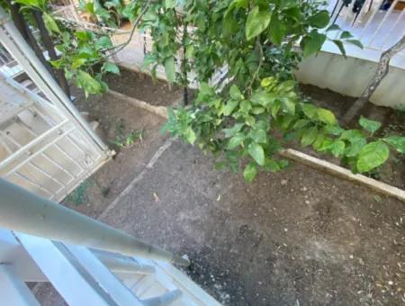 3 1 Summer Duplex For Sale At Affordable Price In Özdere Ortamahalle