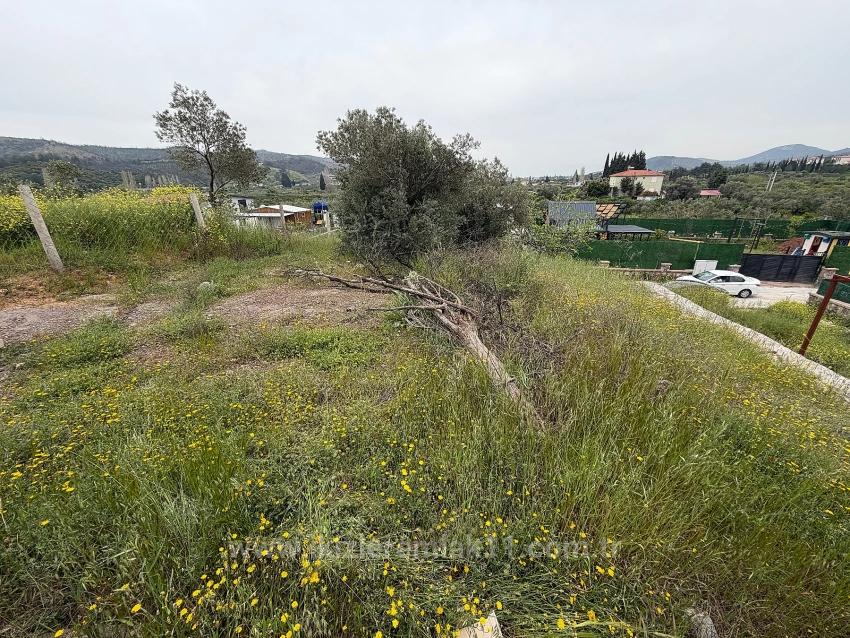 Seferihisar Doğanbey Kavakdere De Satılık 300 M2 Kupon Arsa