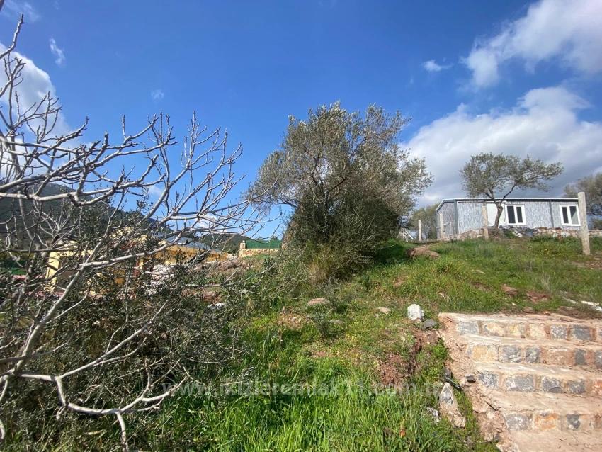 Seferihisar Doğanbey Kavakdere De Satılık 300 M2 Kupon Arsa