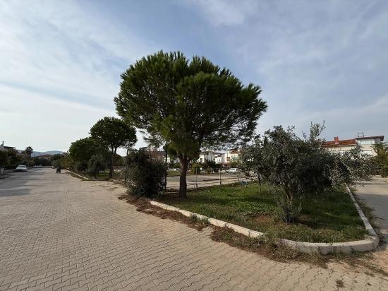 Seferihisar Doğanbey Merkez'de Acil Satılık Geniş Bahçeli 3+1 Villa