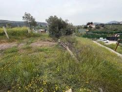 Seferihisar Doğanbey Kavakdere De Satılık 300 M2 Kupon Arsa
